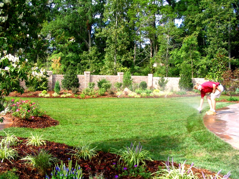 The Pros and Cons of DIY Landscaping